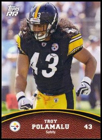 100 Troy Polamalu